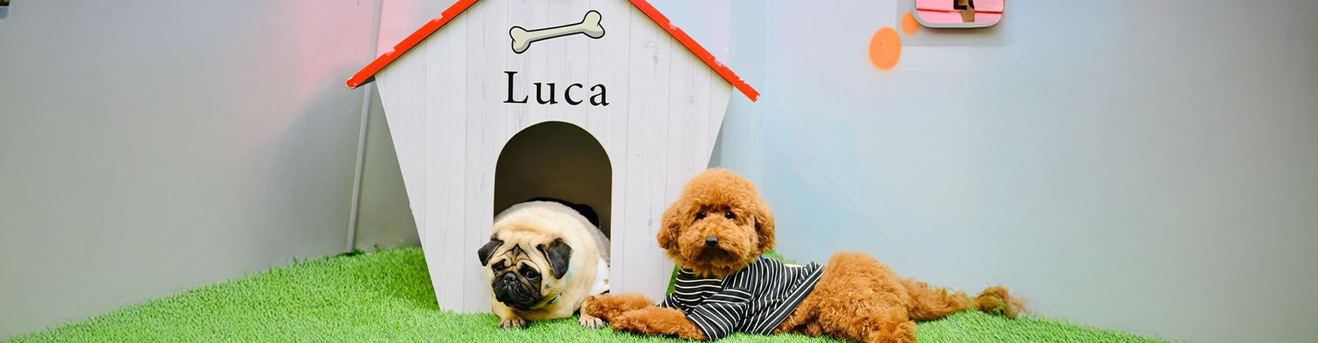 Luca Land